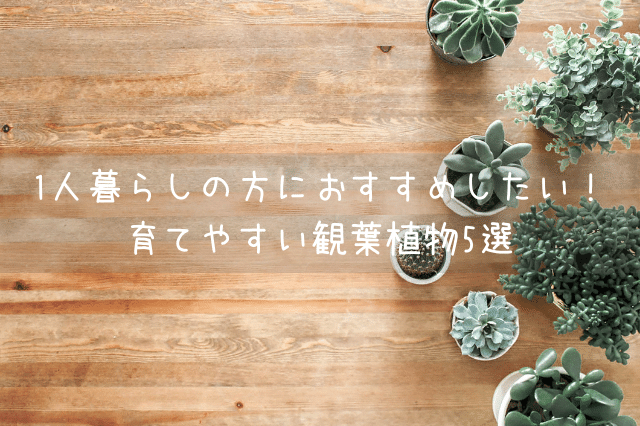 観葉植物はインテリア 1人暮らしでのグリーンの取り入れ方4選 Botanic House