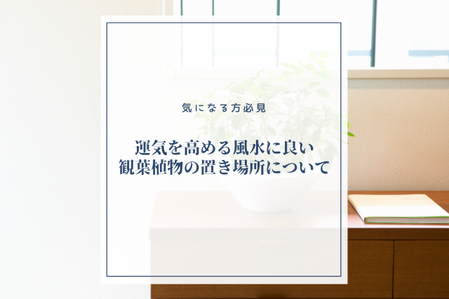 一人暮らし必見 運気を高める風水に良い観葉植物の置き場所について Botanic House