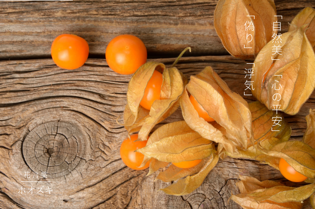 ホオズキの花言葉 Botanic House