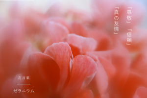 アボカドの育て方は 注目されている水耕栽培のやり方もご紹介 Botanic House